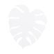 Настінний світильник TK Lighting MONSTERA XL WHITE 5915 5915 фото 1